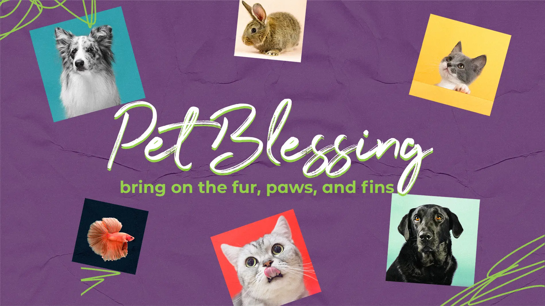 Pet Blessing St. Therese of Lisieux Church